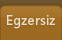 Egzersiz