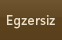 Egzersiz