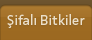 Şifalı Bitkiler