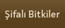 Şifalı Bitkiler