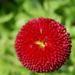 Afiyetle