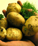 Fırında Patates tarif resmi