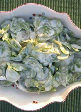 Yoğurtlu semizotu salatası tarif resmi
